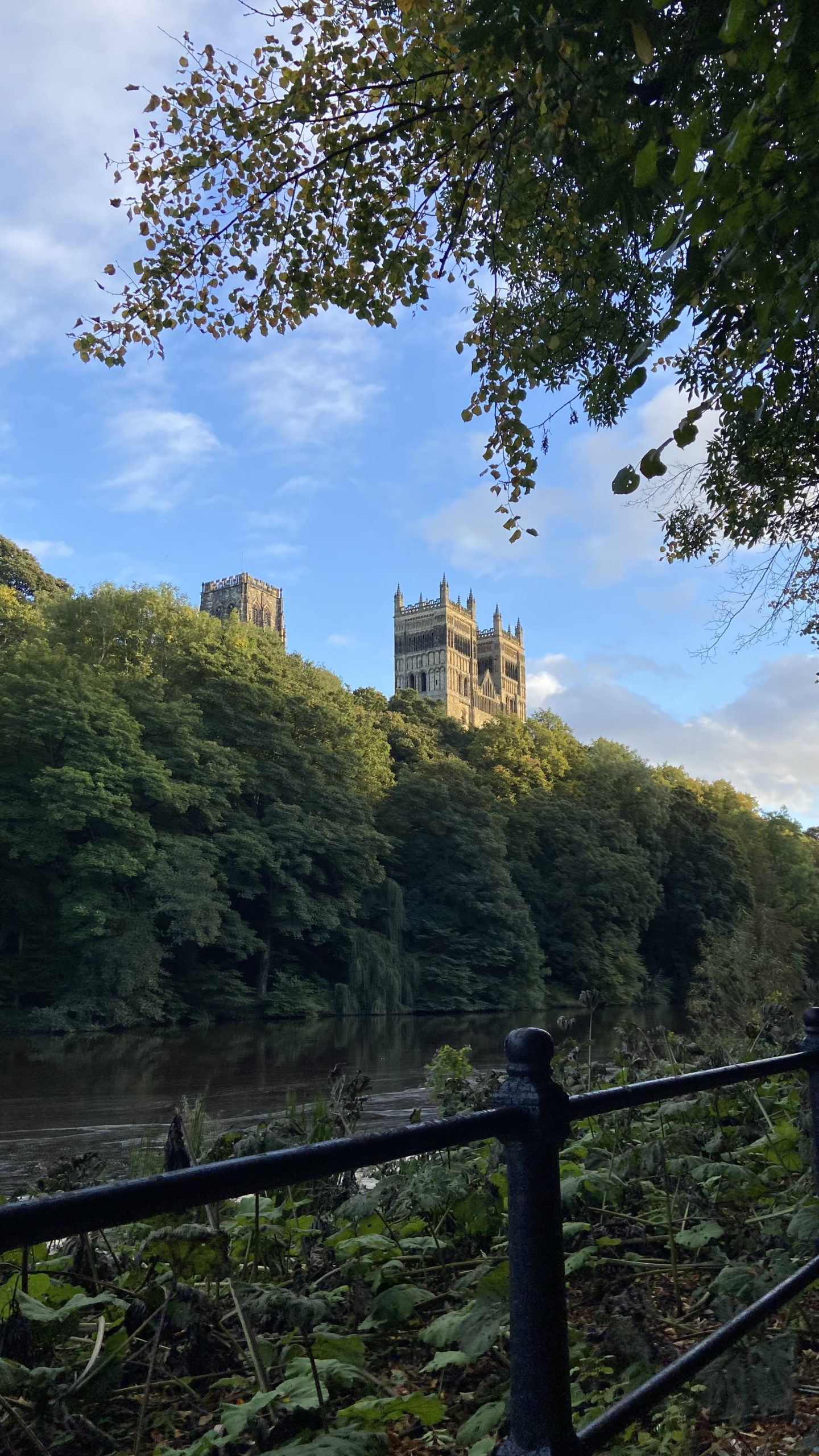 9C4703E9-3DD1-41C8-8F18-4F26A080E248 - Asami Fujimoto