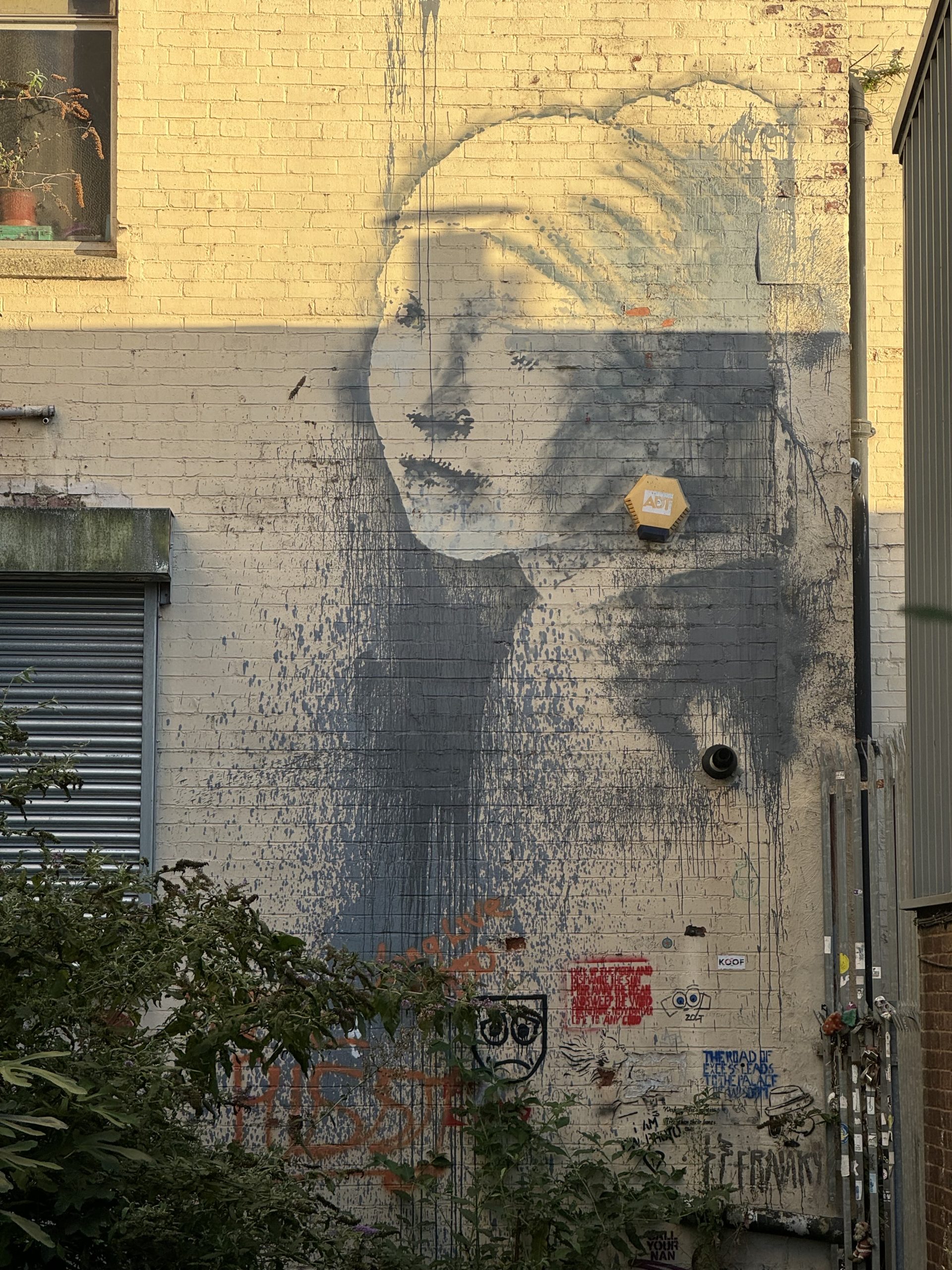 IMG_1259 - 石原悠太郎